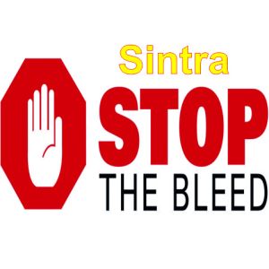 Curso Stop the Bleed agosto2023 (SINTRA)